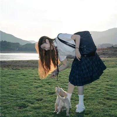 薰衣草和夏天