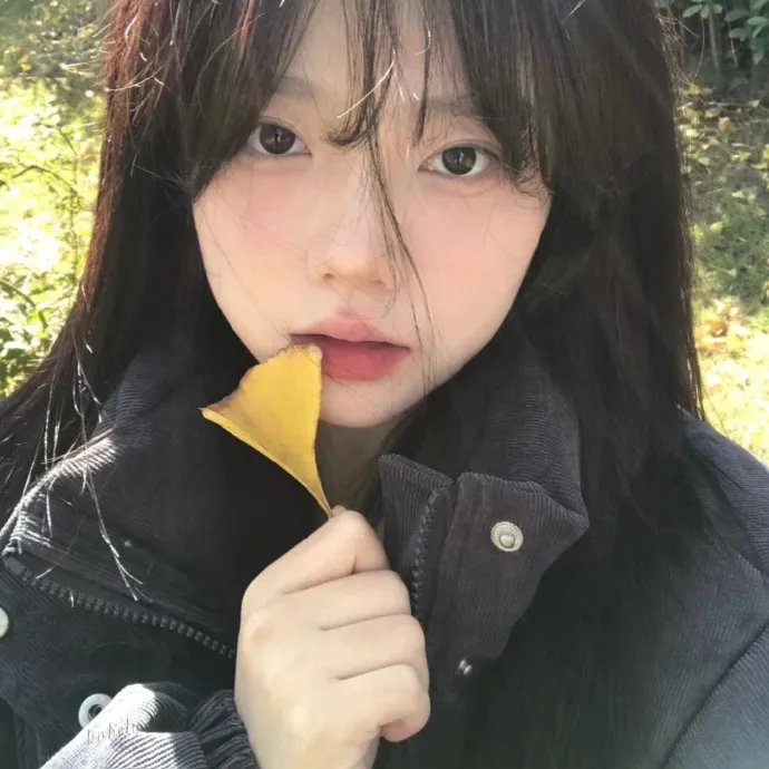 最后的德鲁伊:加尔姆战争